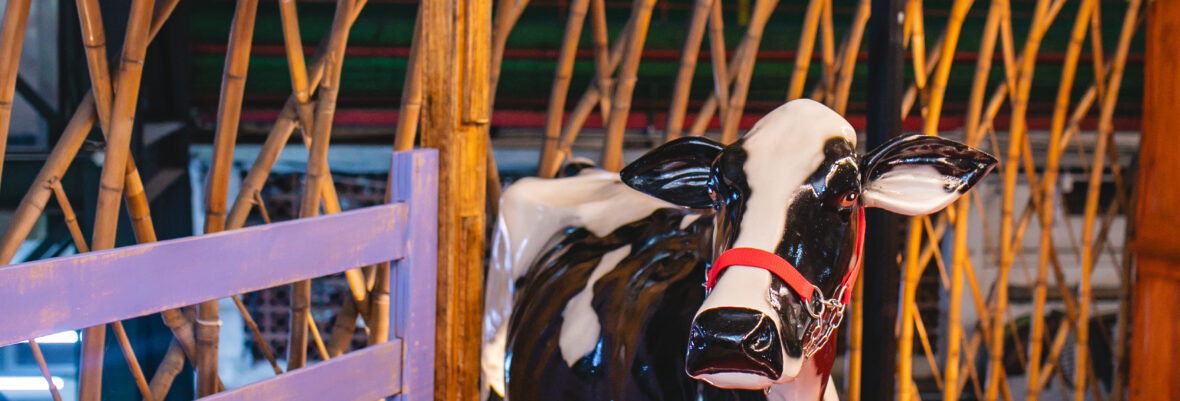 Itambe - @franciscodumont-118