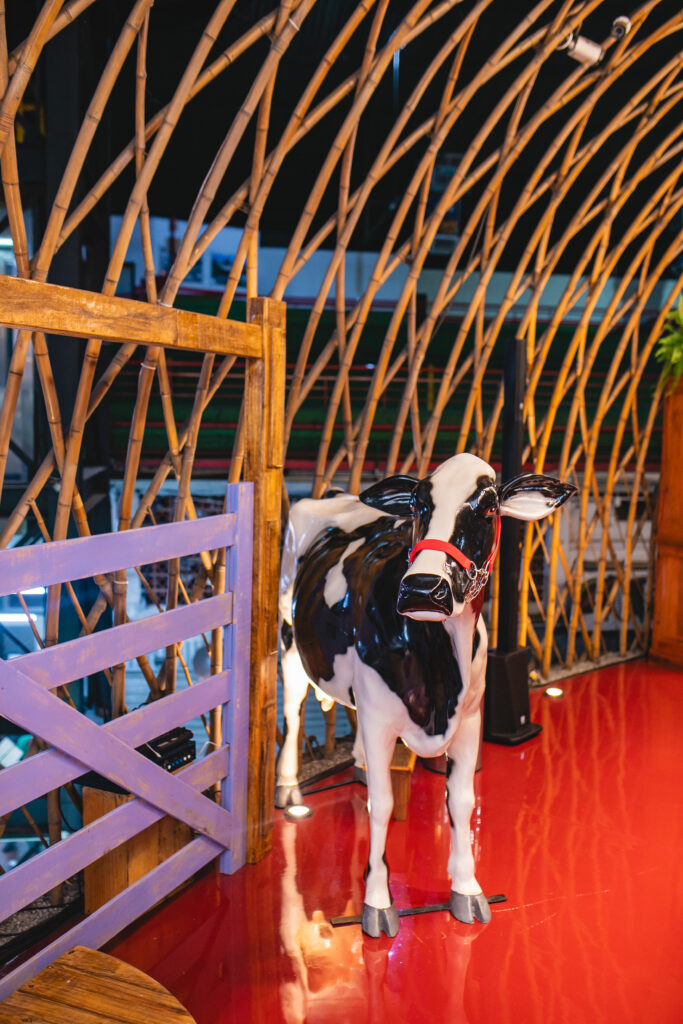 Itambe - @franciscodumont-118