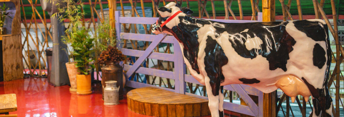 Itambe - @franciscodumont-72